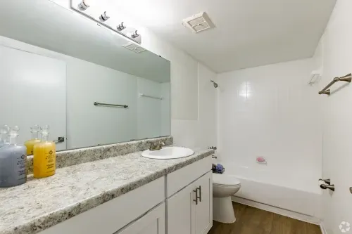 Bathroom at The Essex - Apartments for rent in Altamonte Springs