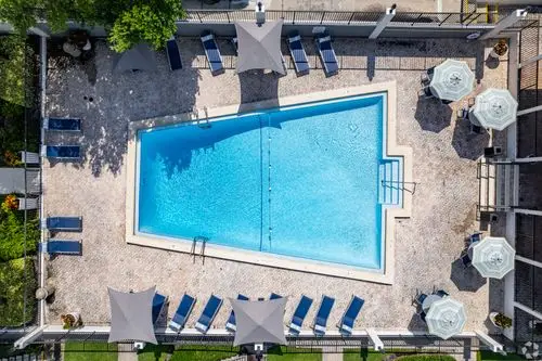 Resort-style swimming pool at The Essex - Luxury apartments Altamonte Springs